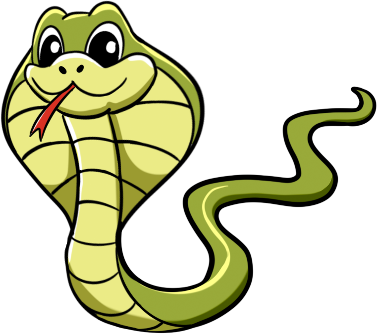 Snake pattern